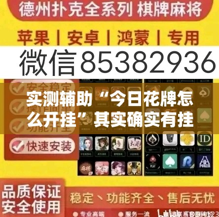 实测辅助“今日花牌怎么开挂”其实确实有挂