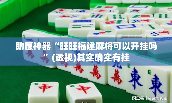 助赢神器“旺旺福建麻将可以开挂吗”(透视)其实确实有挂