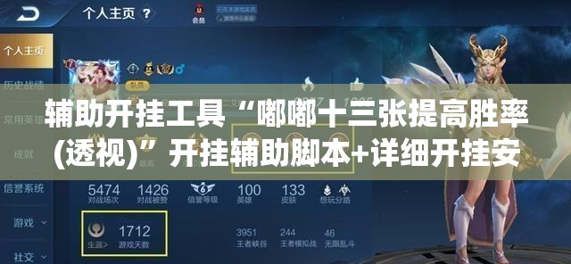 辅助开挂工具“嘟嘟十三张提高胜率(透视)”开挂辅助脚本+详细开挂安装教程