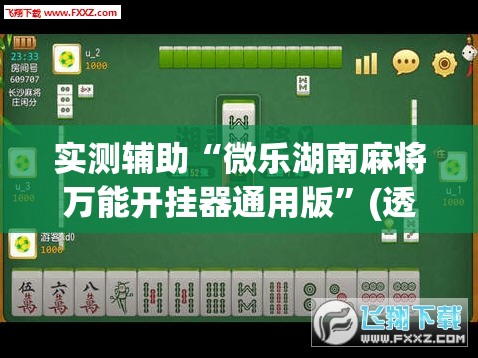 实测辅助“微乐湖南麻将万能开挂器通用版”(透视挂)辅助下载教程