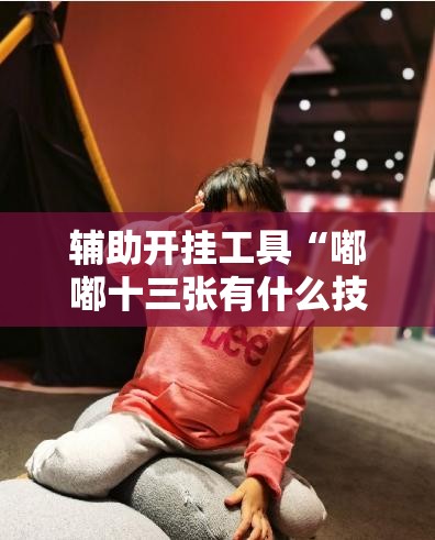 辅助开挂工具“嘟嘟十三张有什么技巧”原来可以开挂
