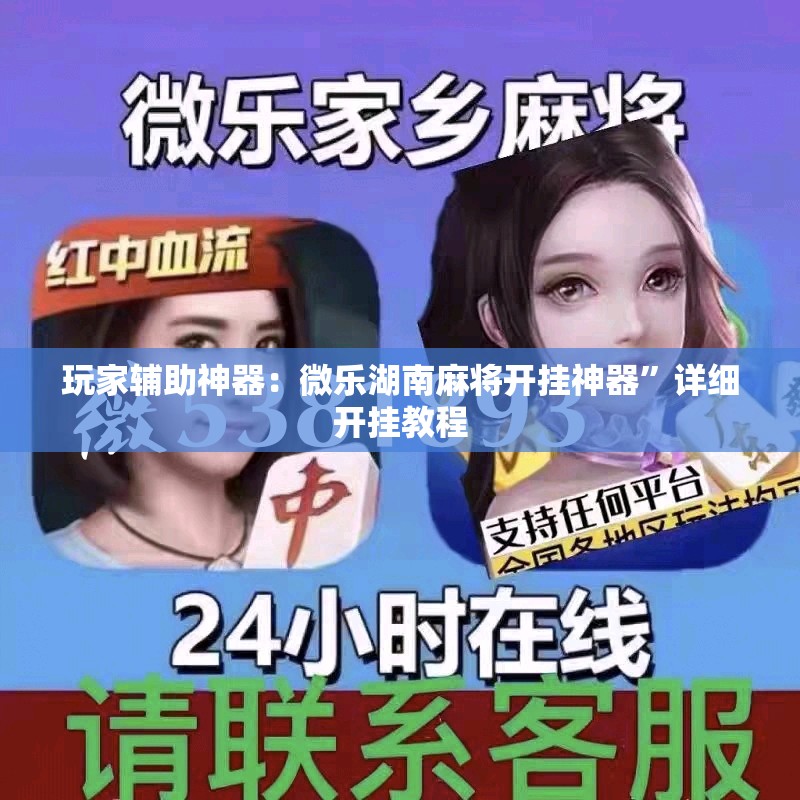 玩家辅助神器：微乐湖南麻将开挂神器”详细开挂教程