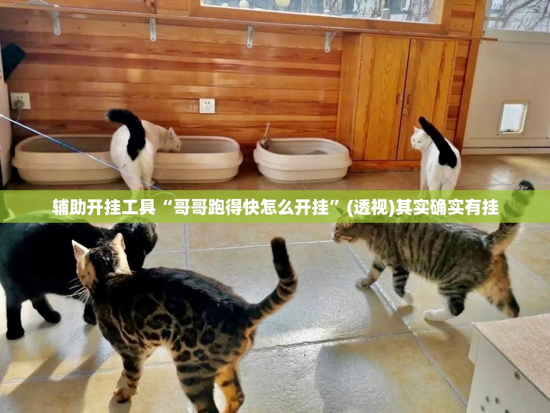 辅助开挂工具“哥哥跑得快怎么开挂	”(透视)其实确实有挂