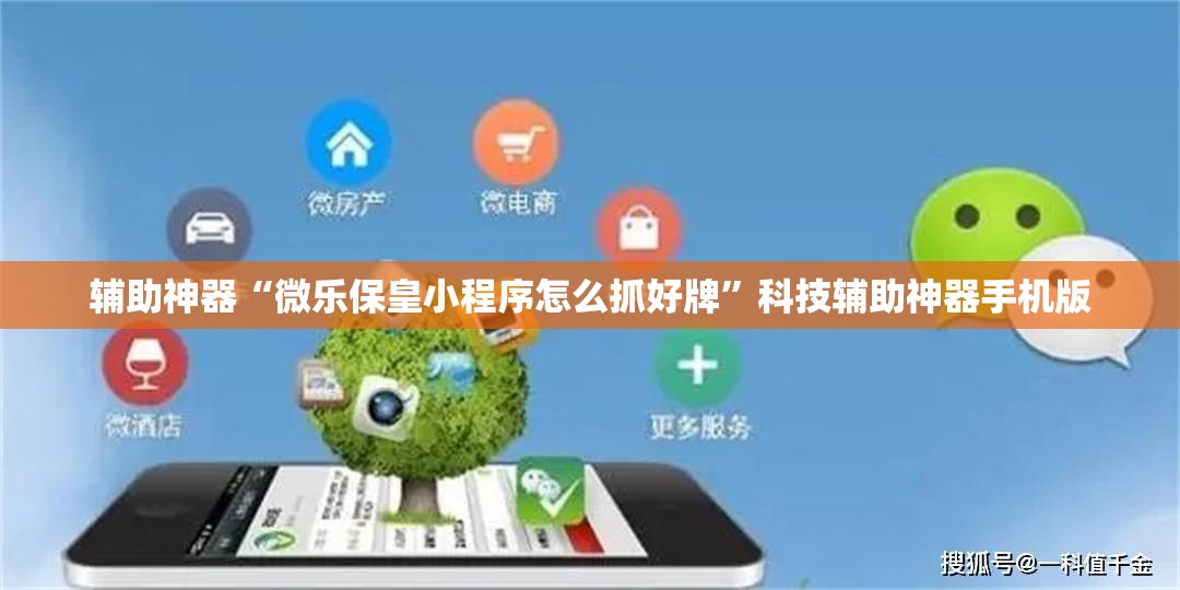 辅助神器“微乐保皇小程序怎么抓好牌”科技辅助神器手机版