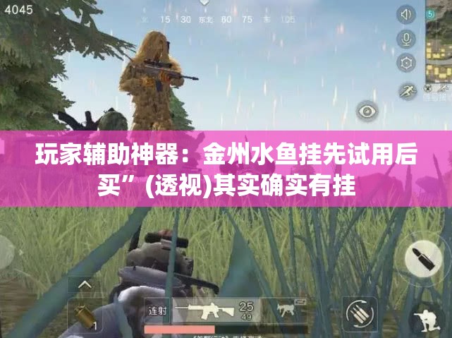 玩家辅助神器：金州水鱼挂先试用后买	”(透视)其实确实有挂
