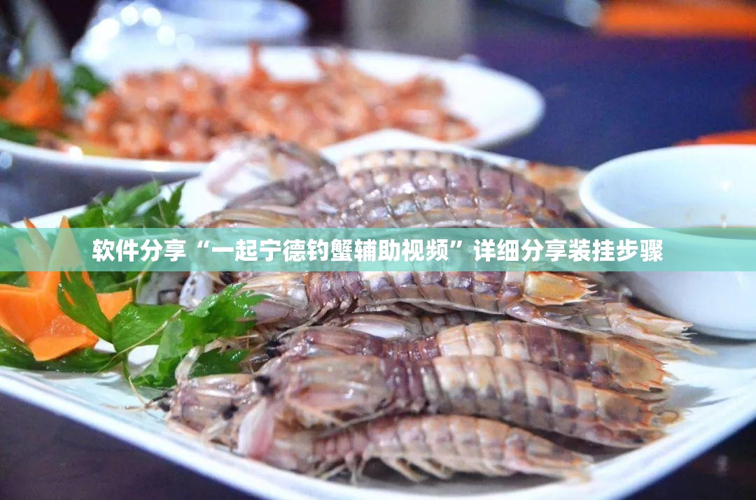 软件分享“一起宁德钓蟹辅助视频”详细分享装挂步骤