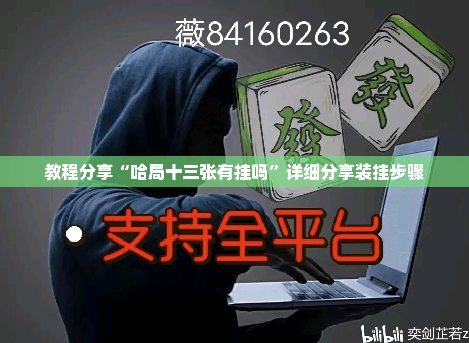 教程分享“哈局十三张有挂吗”详细分享装挂步骤