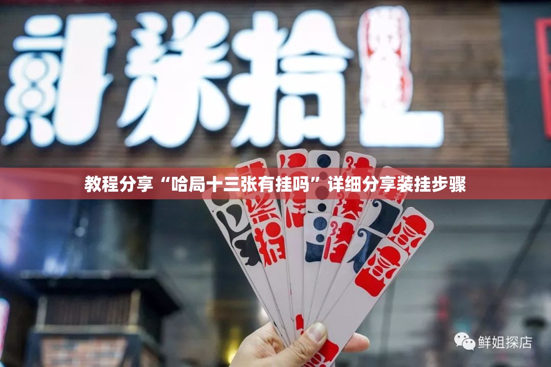 教程分享“哈局十三张有挂吗”详细分享装挂步骤