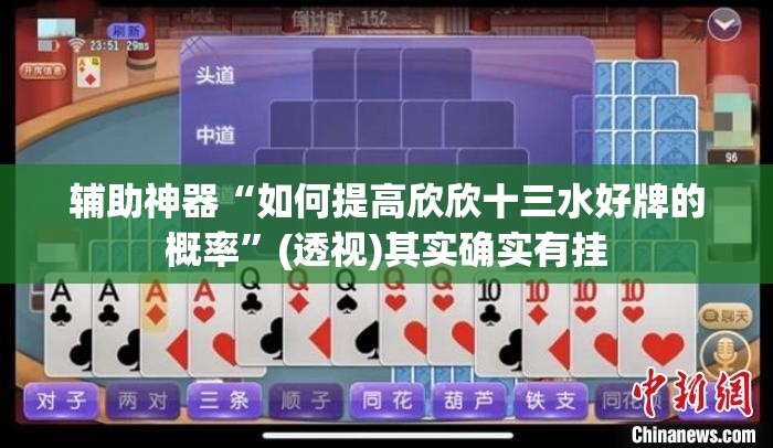 辅助神器“如何提高欣欣十三水好牌的概率”(透视)其实确实有挂