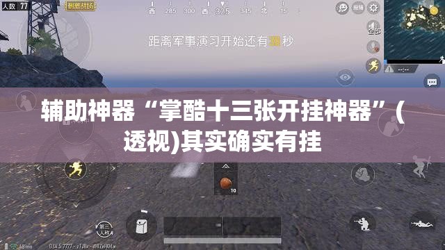 辅助神器“掌酷十三张开挂神器”(透视)其实确实有挂