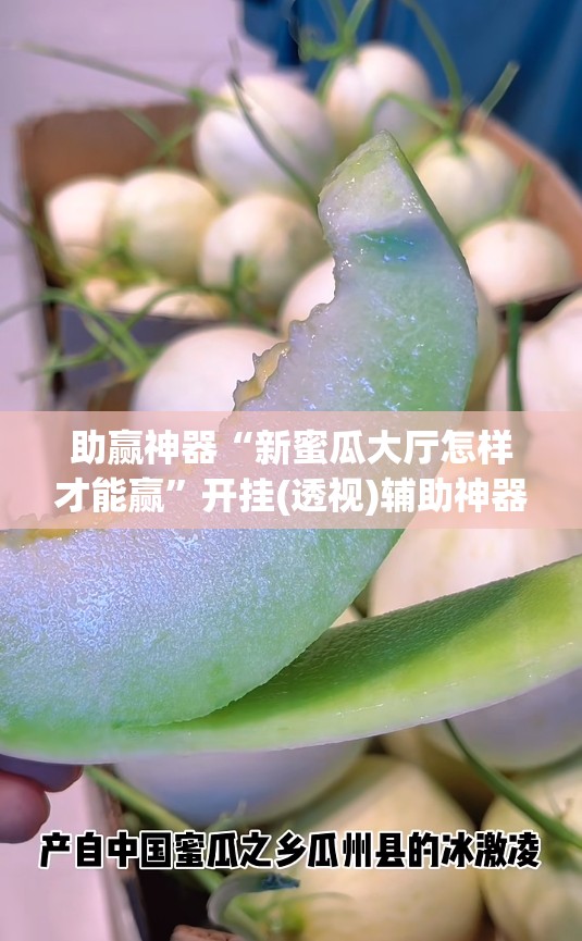 助赢神器“新蜜瓜大厅怎样才能赢”开挂(透视)辅助神器