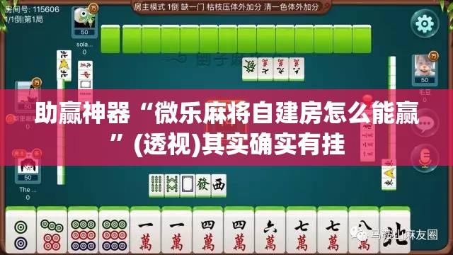 助赢神器“微乐麻将自建房怎么能赢	”(透视)其实确实有挂