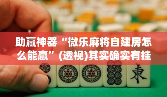 助赢神器“微乐麻将自建房怎么能赢”(透视)其实确实有挂