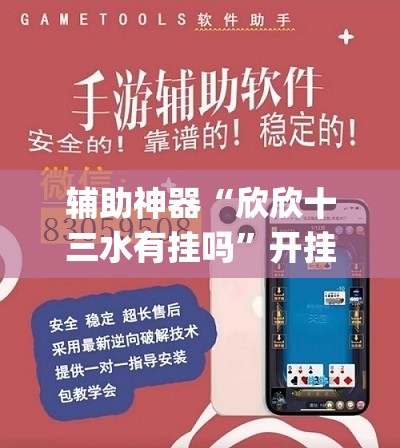 辅助神器“欣欣十三水有挂吗”开挂(透视)辅助教程
