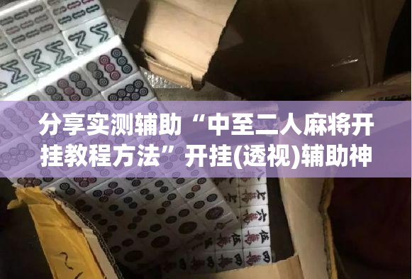 分享实测辅助“中至二人麻将开挂教程方法”开挂(透视)辅助神器