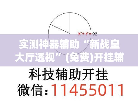实测神器辅助“新战皇大厅透视	”(免费)开挂辅助教学(最新辅助开挂教程)