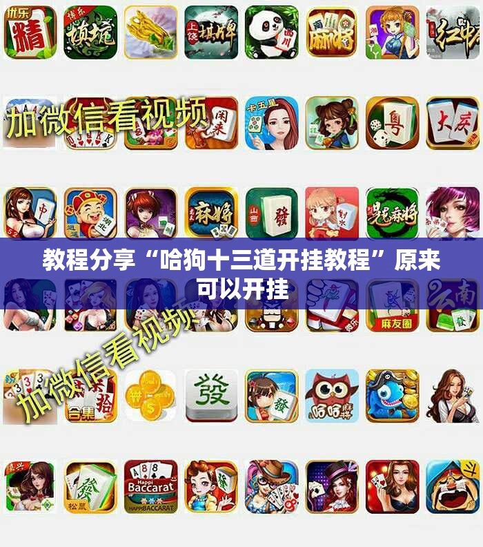 教程分享“哈狗十三道开挂教程	”原来可以开挂