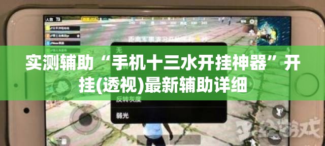 实测辅助“手机十三水开挂神器	”开挂(透视)最新辅助详细
