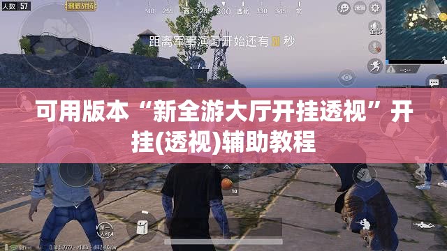 可用版本“新全游大厅开挂透视”开挂(透视)辅助教程