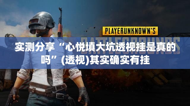 实测分享“心悦填大坑透视挂是真的吗”(透视)其实确实有挂