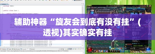 辅助神器“旋友会到底有没有挂”(透视)其实确实有挂