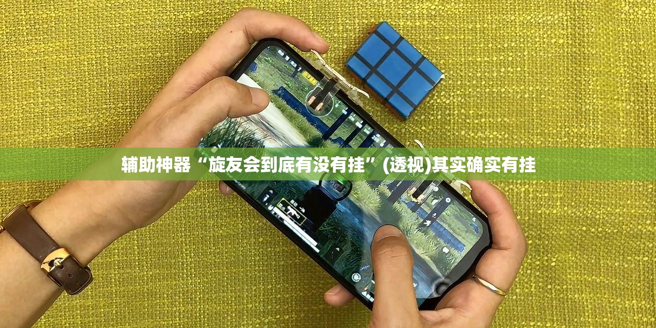 辅助神器“旋友会到底有没有挂”(透视)其实确实有挂
