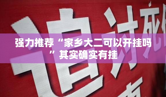 强力推荐“家乡大二可以开挂吗	”其实确实有挂