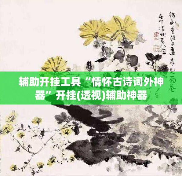 辅助开挂工具“情怀古诗词外神器”开挂(透视)辅助神器