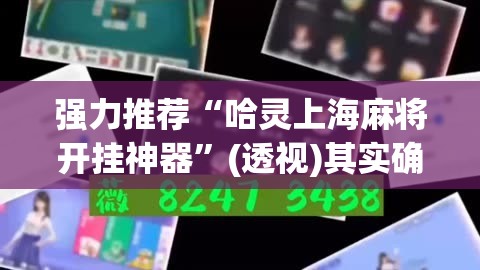 强力推荐“哈灵上海麻将开挂神器”(透视)其实确实有挂