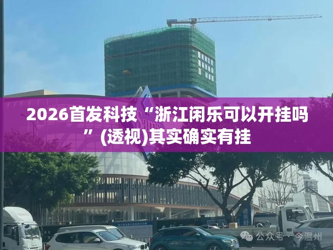 2026首发科技“浙江闲乐可以开挂吗”(透视)其实确实有挂