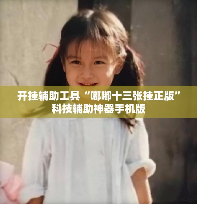 开挂辅助工具“嘟嘟十三张挂正版”科技辅助神器手机版