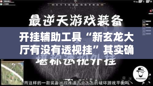 开挂辅助工具“新玄龙大厅有没有透视挂”其实确实有挂