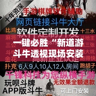 一键必胜“新道游斗牛透视现场安装”详细分享装挂步骤