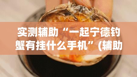 实测辅助“一起宁德钓蟹有挂什么手机”(辅助神器)开挂详细教程