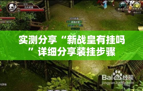 实测分享“新战皇有挂吗”详细分享装挂步骤