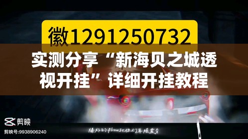 实测分享“新海贝之城透视开挂	”详细开挂教程