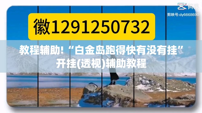 教程辅助!“白金岛跑得快有没有挂”开挂(透视)辅助教程