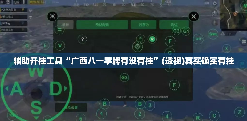 辅助开挂工具“广西八一字牌有没有挂”(透视)其实确实有挂