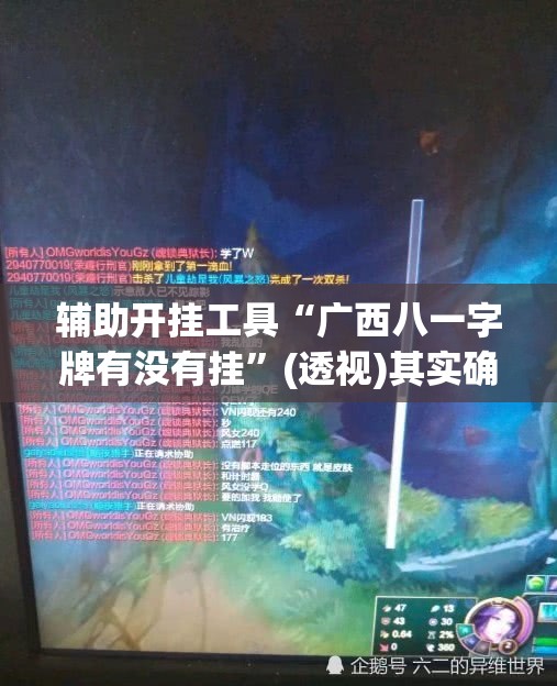辅助开挂工具“广西八一字牌有没有挂”(透视)其实确实有挂