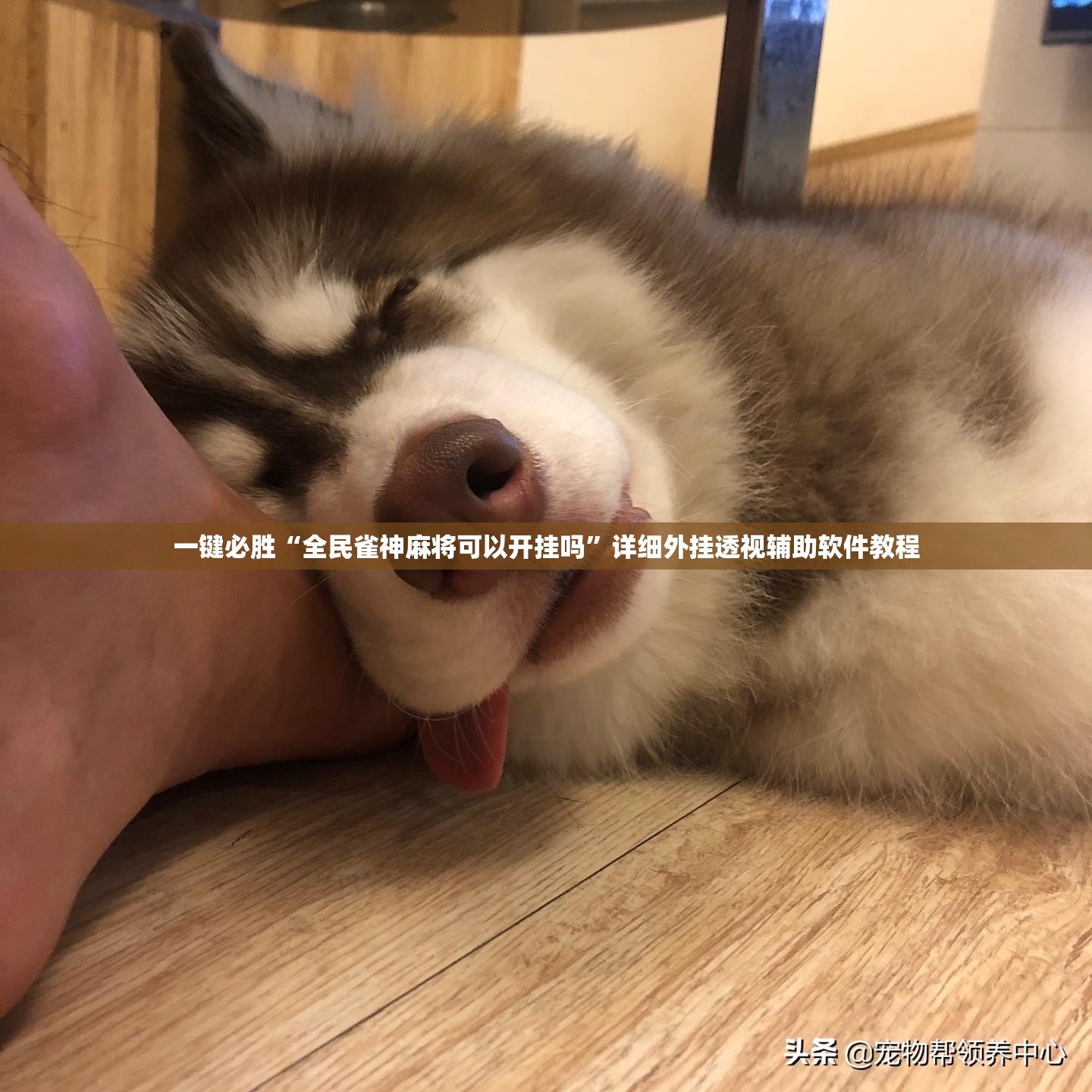 一键必胜“全民雀神麻将可以开挂吗”详细外挂透视辅助软件教程