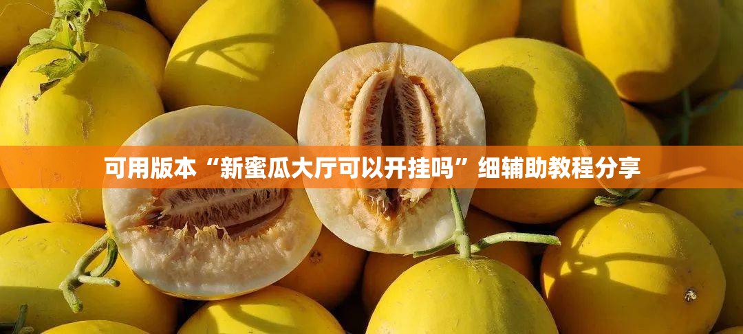 可用版本“新蜜瓜大厅可以开挂吗”细辅助教程分享