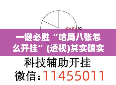 一键必胜“哈局八张怎么开挂”(透视)其实确实有挂