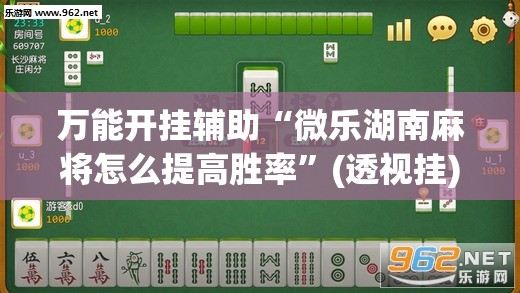 万能开挂辅助“微乐湖南麻将怎么提高胜率	”(透视挂)辅助下载教程
