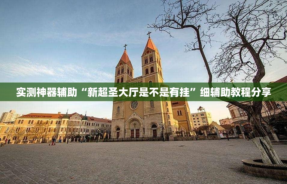 实测神器辅助“新超圣大厅是不是有挂”细辅助教程分享