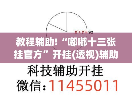 教程辅助!“嘟嘟十三张挂官方	”开挂(透视)辅助教程