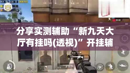 分享实测辅助“新九天大厅有挂吗(透视)”开挂辅助脚本+详细开挂安装教程