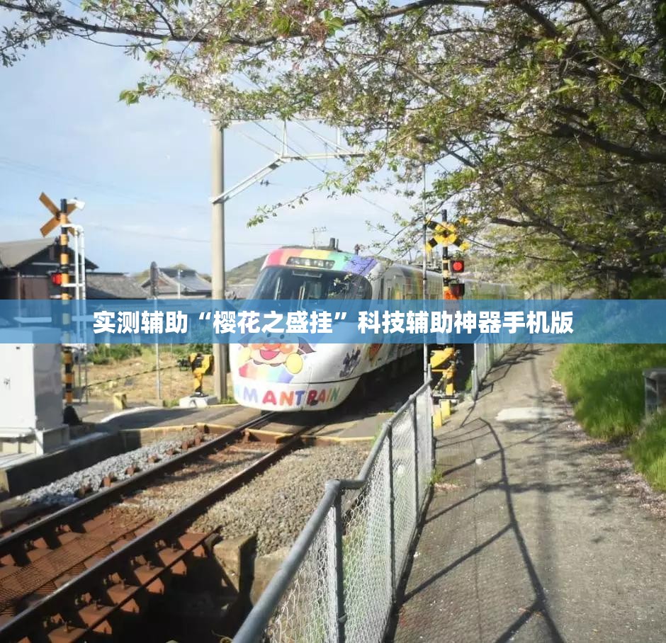 实测辅助“樱花之盛挂”科技辅助神器手机版