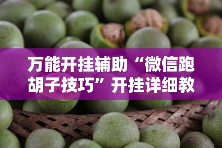 万能开挂辅助“微信跑胡子技巧”开挂详细教程
