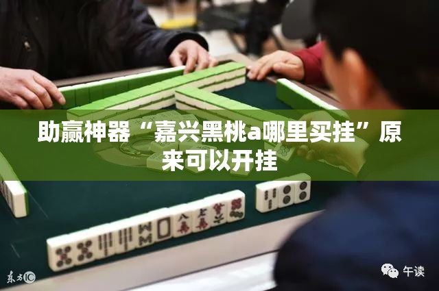 助赢神器“嘉兴黑桃a哪里买挂”原来可以开挂