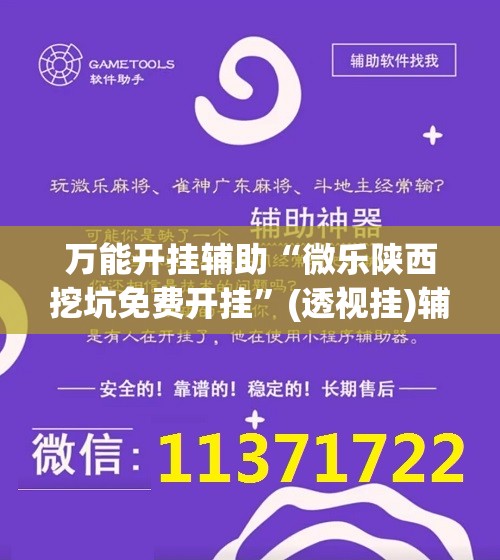 万能开挂辅助“微乐陕西挖坑免费开挂”(透视挂)辅助下载教程